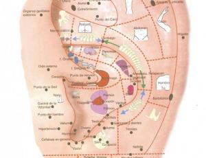 Curso de auriculoterapia