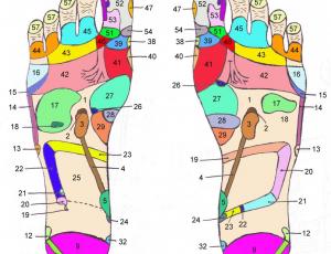 Curso de reflexología podal