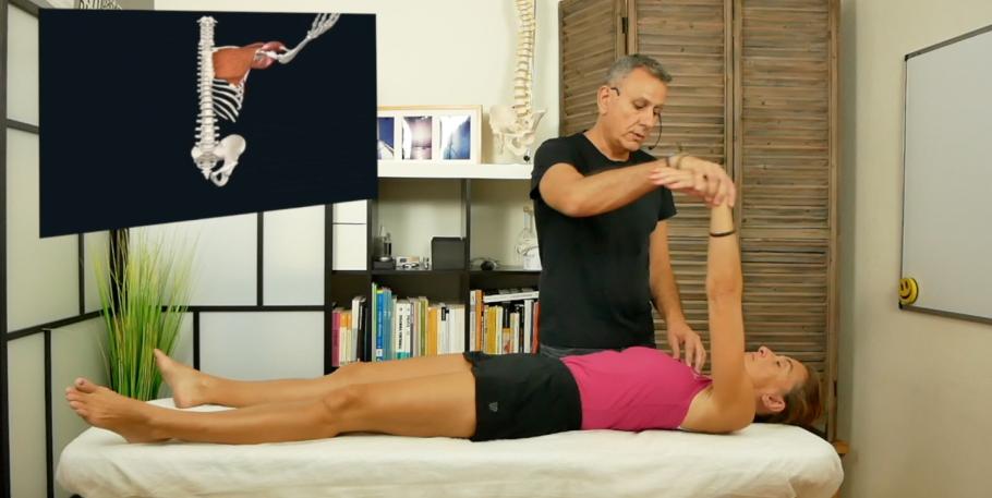 Técnicas de Kinesiología Aplicada basada en neurología funcional