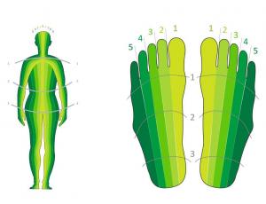 Curso de Reflexología Podal