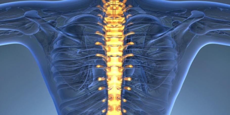 Charla y demostración de terapia estructural