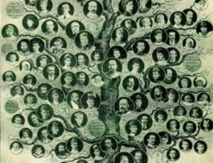 El árbol genealógico, mis raíces