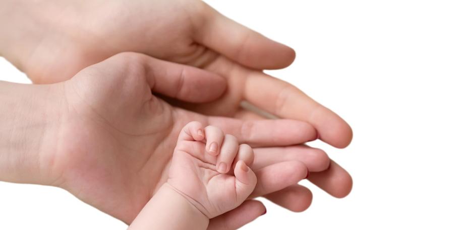 Formación en constelaciones familiares