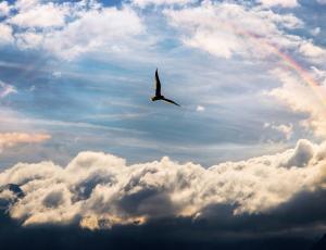 Presentación ciclo de talleres: El Vuelo del Alma