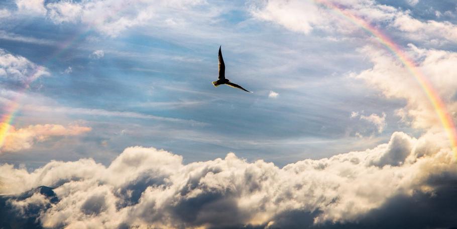 Presentación ciclo de talleres: El Vuelo del Alma