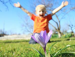 Terapia floral de bach en la infancia, herramientas de consulta