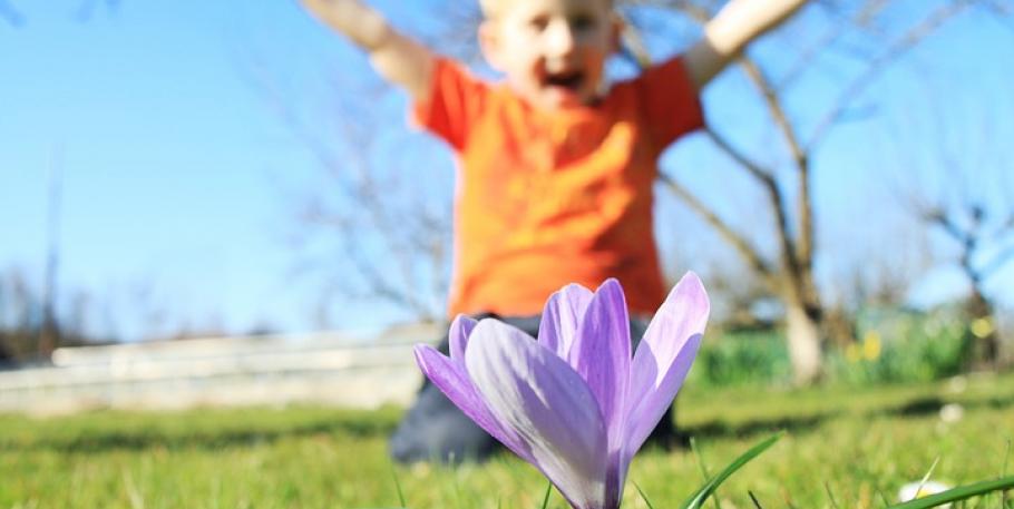 Terapia floral de bach en la infancia, herramientas de consulta