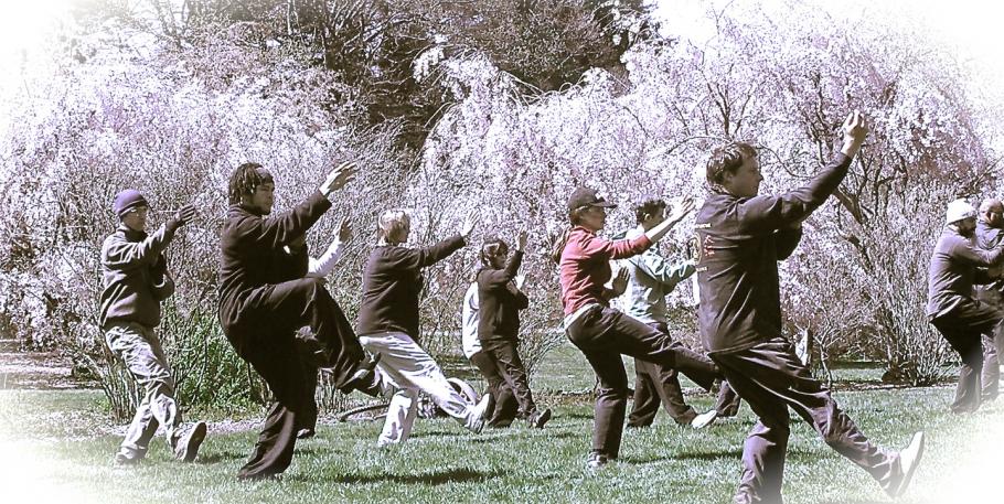 Clases de chi kung y tai chi chuan