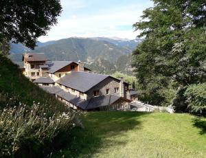 Yoga en el Pirineo