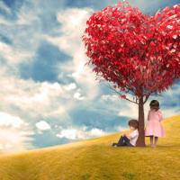 Taller de inteligencia emocional aplicada