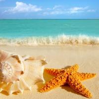 Sesiones 1,2,3: Relax y vitalidad