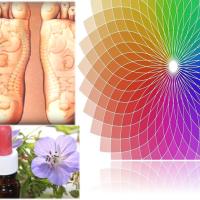 Curso de reflexología podal holística integrativa