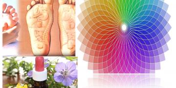 Reflexologia sales holistica podal