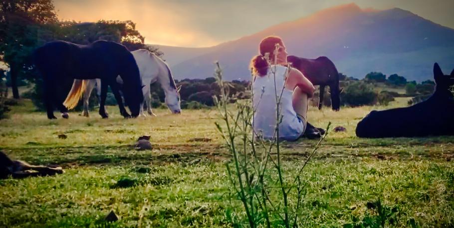 Alinea cuerpo, mente y corazón: Jornada de coaching con caballos