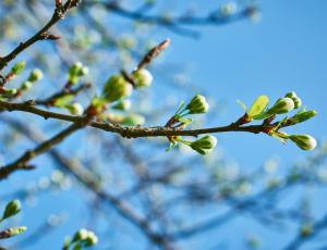 Curso Integral de Mindfulness