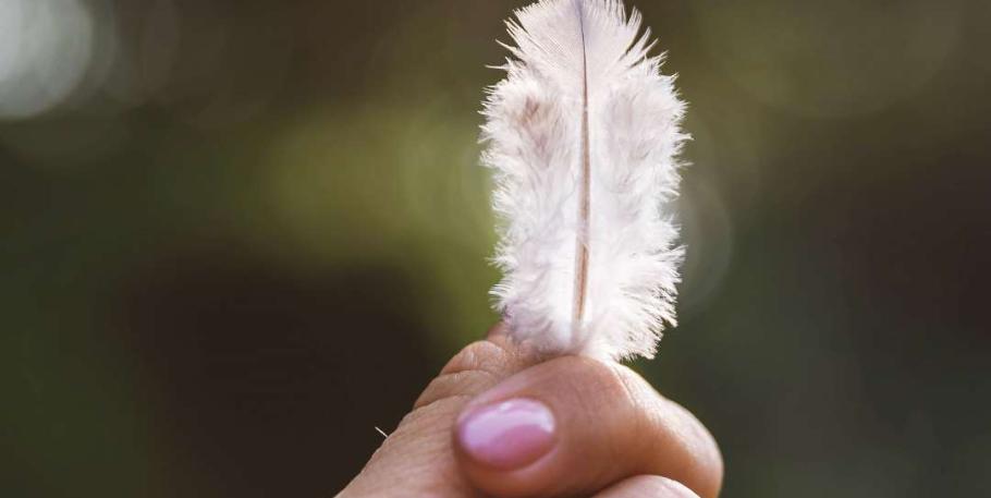 Curso: Mediumnidad evidencial