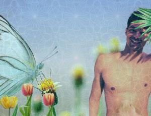 Sadhana Hub · La Odisea del Ser