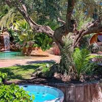 Retiro Reiki Zen Experiencia - El Camino Espiritual de Usui Reiki y Conexión con la Fuerza