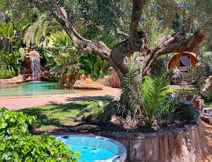 Retiro Reiki Zen Experiencia - El Camino Espiritual de Usui Reiki y Conexión con la Fuerza