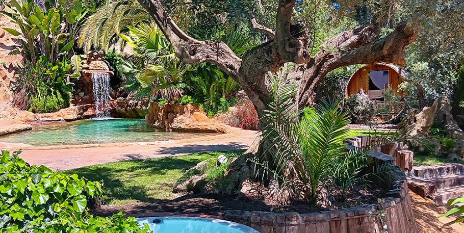 Retiro Reiki Zen Experiencia - El Camino Espiritual de Usui Reiki y Conexión con la Fuerza