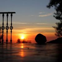 Retiro Reiki Zen Experiencia - El Camino Espiritual de Usui Reiki y Conexión con la Fuerza