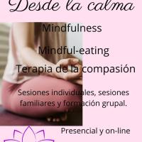 Taller de iniciación al Mindfulness: Online