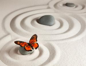 Formación individual en mindfulness