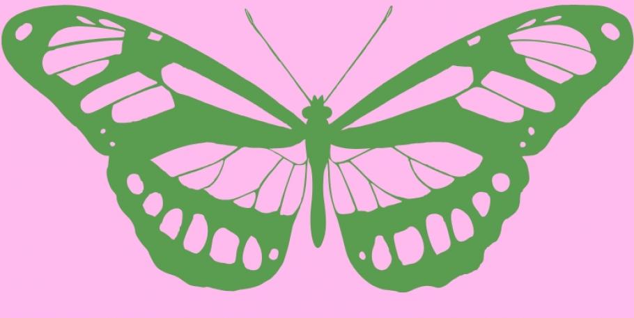 Retiro para tu transformación: De oruga a mariposa