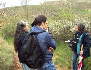 Taller de flores de bach