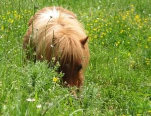 Retiro consciente en la naturaleza