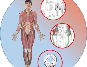 Relaciones: cadenas musculares, meridianos y correcciones (taller)