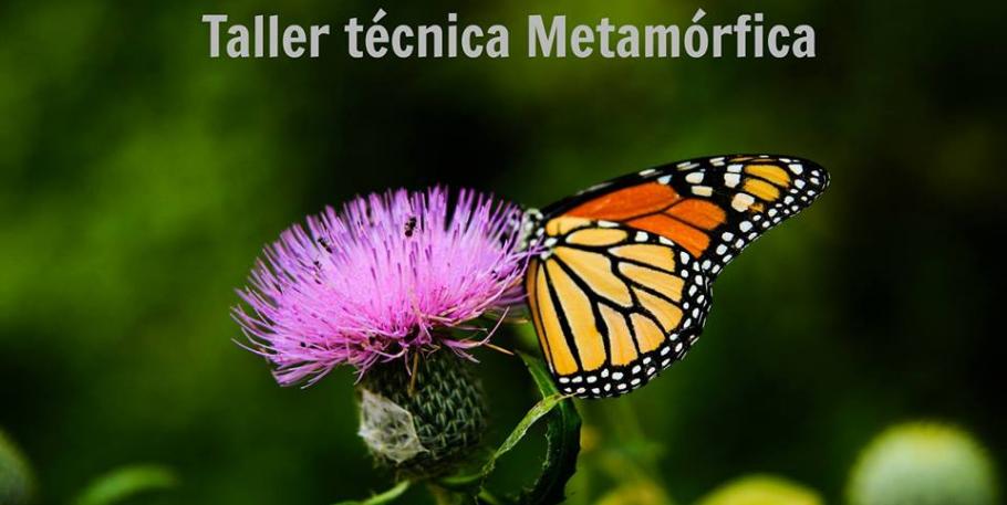 Taller: Técnica metamórfica