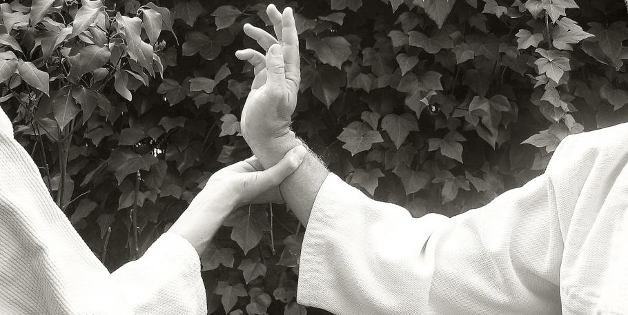 Seminario de Aikido: Kuzushi y la gestión de atemis