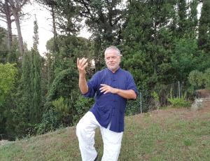 Clases online en directo de Tai-chi y Chi-kung (Qigong)