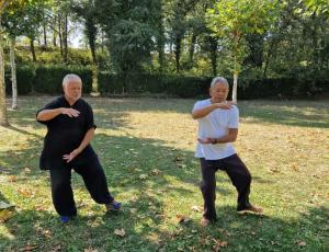 Formación de profesores de tai-chi y chi kung