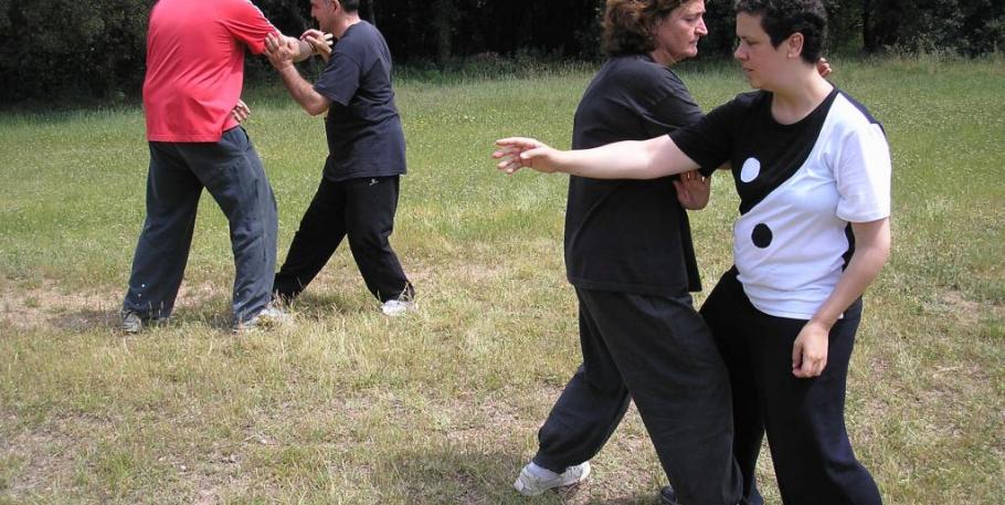 Aplicaciones marciales del tai-chi