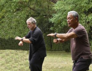 Tai-chi, chi-kung (qigong) y meditación en la naturaleza