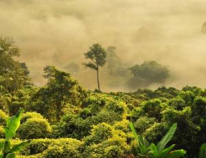 La naturaleza nos ayuda