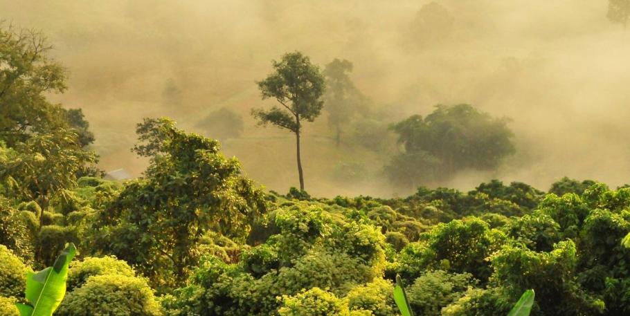 La naturaleza nos ayuda