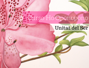 Curso de Ho'oponopono