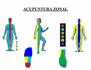 Curso de acupuntura zonal y examen profesional de ex-alumnos