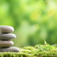 Curso: Meditación: Tradicional, Mindfulness y Pensamiento Positivo