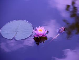 Taller de iniciación a la meditación