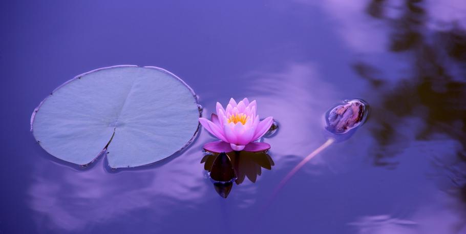 Taller de iniciación a la meditación