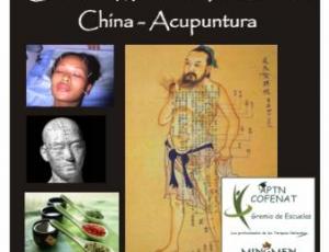 Curso Profesional Medicina Tradicional China (Acupuntura + MTC)