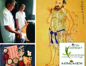 Curso Básico de Iniciación a la Medicina Tradicional China