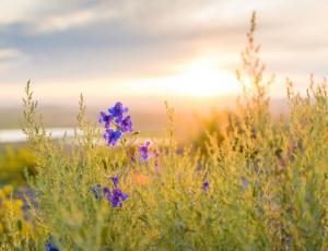 Retiro de alimentación consciente y mindfulness