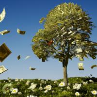 Curso: Manifestación y abundancia