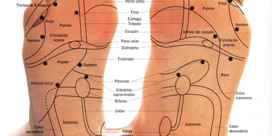 Curso de Reflexoterapia Podal