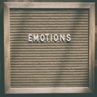 Gestión de las emociones (online)